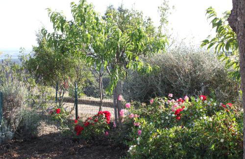 Agriresidence Debbiare - Foto 36