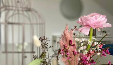 fuldaliebe - Helle Ferienwohnung mit Küche, Parkplatz, WLAN, Self Check-in - Foto 1