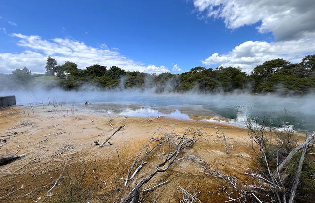 Parkview Holiday Home - Foto 73