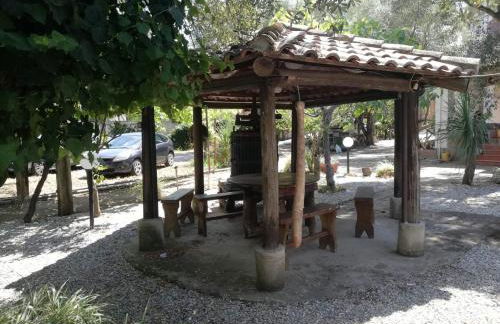 Verde & Mare - Photo 56