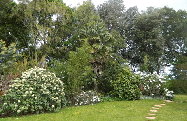 Antares Homestay - Foto 52
