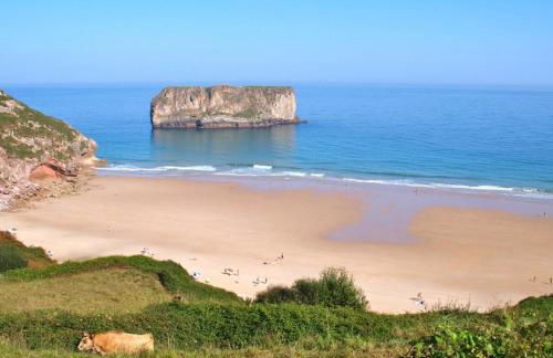 Las endrinas - Foto 5