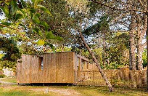 Cabanas Narea - Foto 74