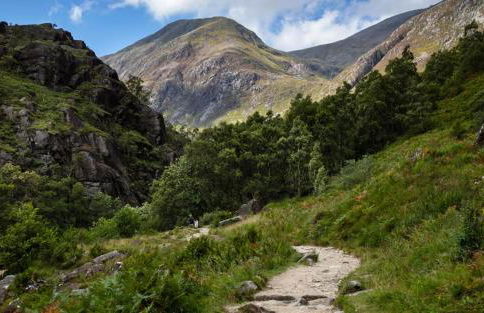 Levenvale Studio - Foto 21