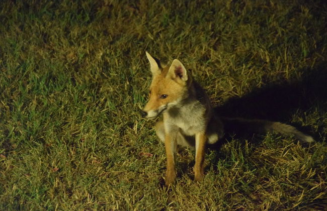 Bio Agriturismo Valle dei Calanchi - Foto 58