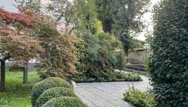 Studio8 - Foto 3, Garden, Garden view