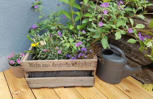 Ferienwohnung Hanhofen - Foto 17