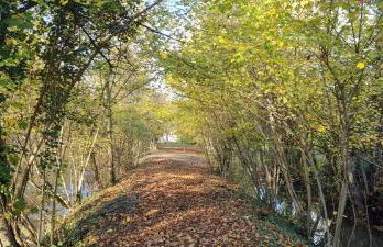 Le Moulin de L'O - L'Orle Rose - Foto 27