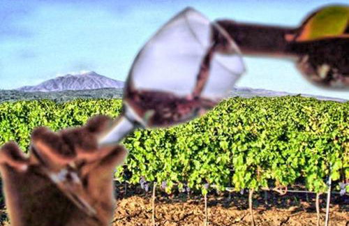 La casa di Giada - Foto 57