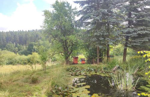 Haus "Grimberg" FeWo 1-stock oder FeWo 2-stock & Zusätzliches Zimmer - Photo 55