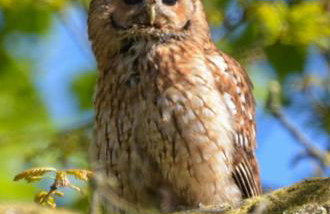Y Caban at Wig Farm near Llangrannog - Foto 23