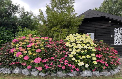 Haus Am Damm - Foto 29