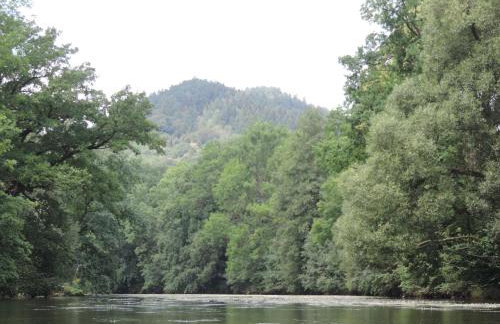 Pod Miotełką - Foto 34