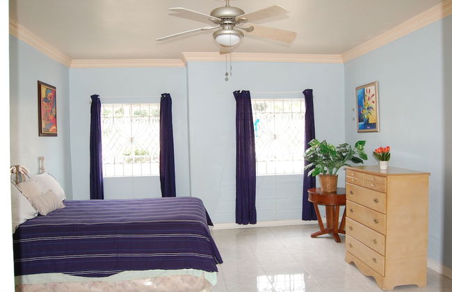 Celebrity Villa Jamaica - Photo 11