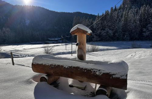 Mitteralm-Kreuth - Foto 2