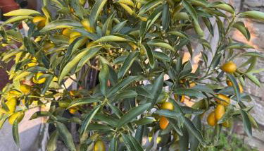 Nostro Rifugio - Photo 2