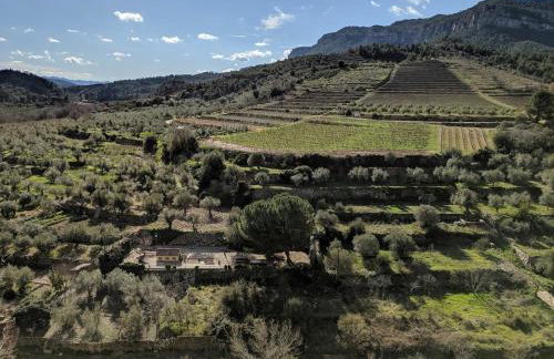 L'Acadèmia de La Vilella Baixa - Foto 18