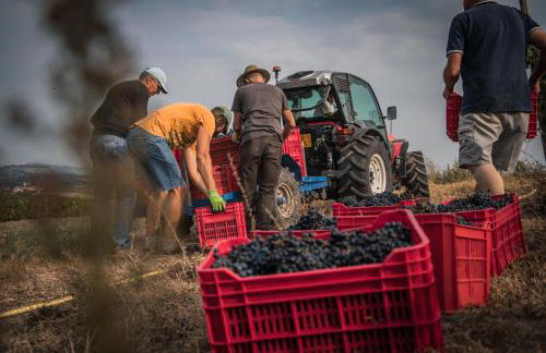 Cascina Nomade - Wine & Scenic Retreat - Foto 33