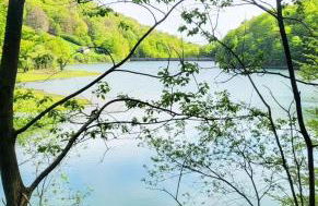 Apartamento Leurtza - Foto 28