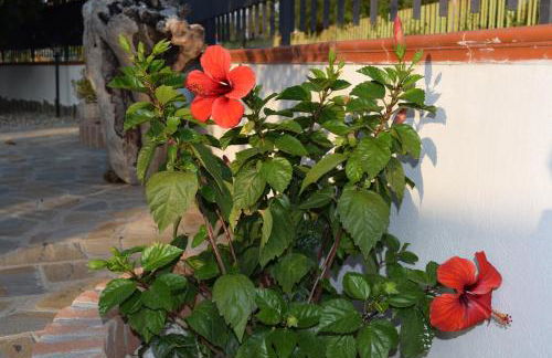 La casa di Ely - Foto 29