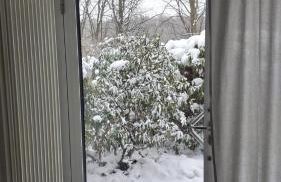 Apartment mit eigenem Zugang - Foto 5