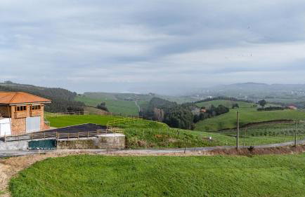 Finca Seles - Photo 13