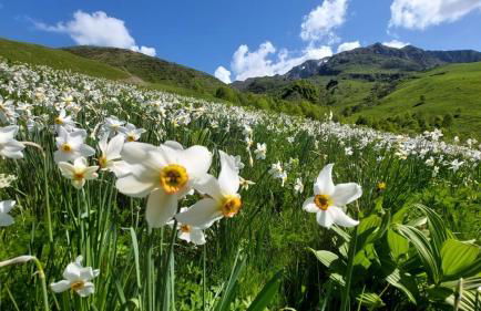 CASA VACANZA NIDO COLLETTO - Foto 25