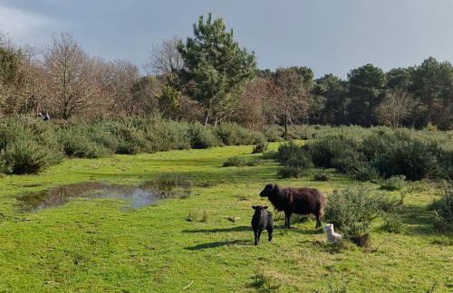 L'Ilot du Men Du - Charme - WiFi - 2 vélos - Plages à pied - 3 étoiles - Foto 30