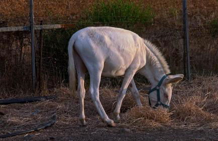 Agriturismo Santa Lucia - Foto 53