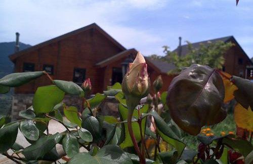 Pasithea Mountain Chalet - Foto 4