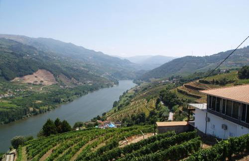 Casa Dona Maria - Armamar Douro - Foto 48