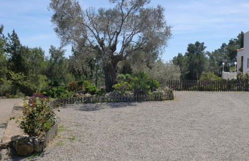 Villa Es Socorrat - Foto 39