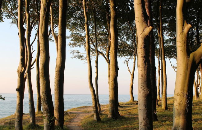 Ferienwohnung Gerda in Ostseenahe - Foto 40