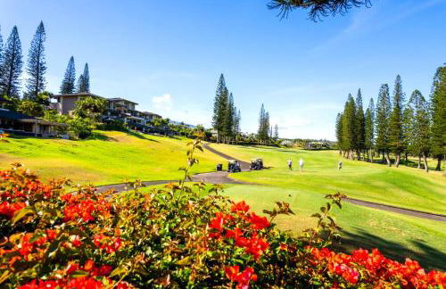 Kapalua Golf Villas 2 Free cars KBM Resorts Large Bedrooms 2 Units 3 Bedrooms ML-2189 - Foto 78