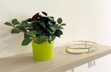 La Casetta di Lusì - Foto 23