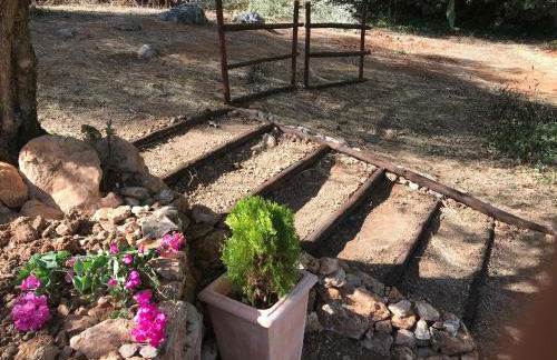 Casal das Nogueiras, casas rurais de charme agradáveis e acolhedoras - Foto 44