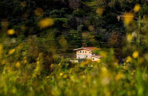 Residence Mersa - Foto 18