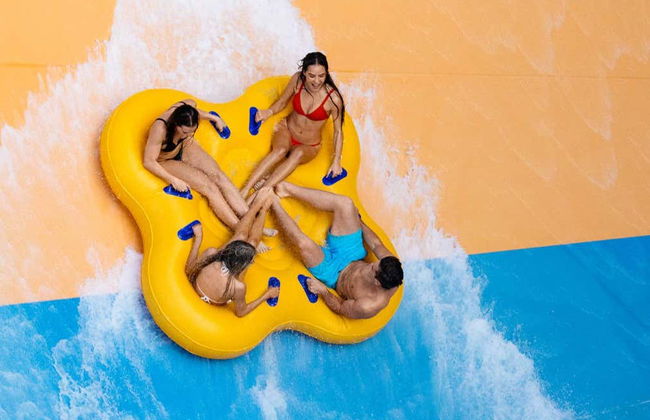 Billet pour le Sea World Gold Coast + Warner Bros. Movie World + Wet'n'Wild - Photo 6