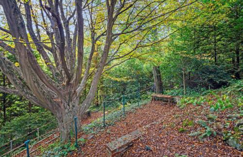 Secret Garden Getaway - Apartment in Asheville near the Great Smokey Mountains! - Foto 30