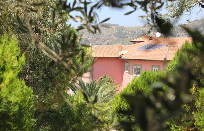 Agriturismo Eucalipto - Foto 22