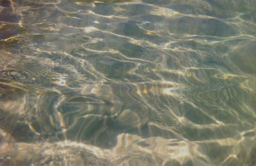 Deixe a energia fluir e contaminar suas férias. - Photo 64