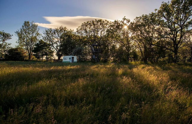 Private Glamping in a Vintage Caravan & Bell Tent - Foto 17