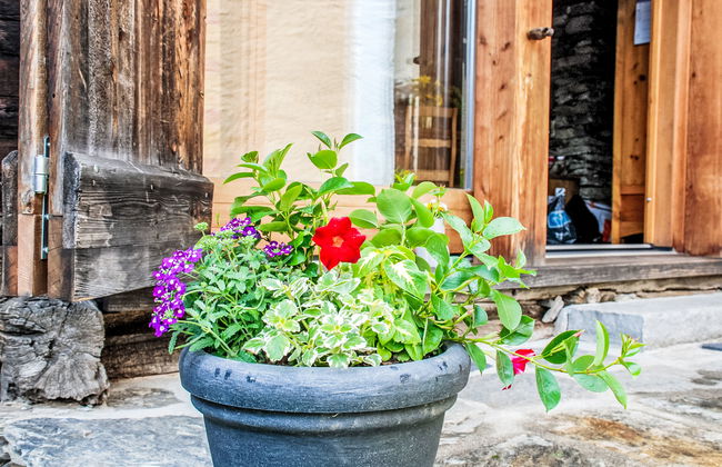 Rustico Cà dru Lurenz - Foto 11