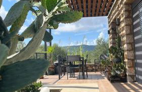 Το Σπίτι της Ελιάς - Foto 40