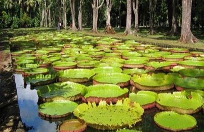 Oceanafrican Villas - Photo 22