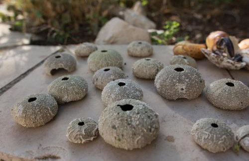 Apartment Rino, only 30m from the sea - Foto 53