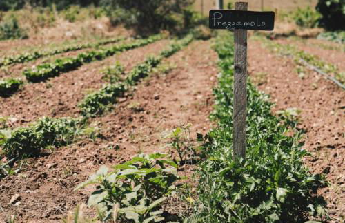 Masseria Stali, The Originals Relais - Foto 93