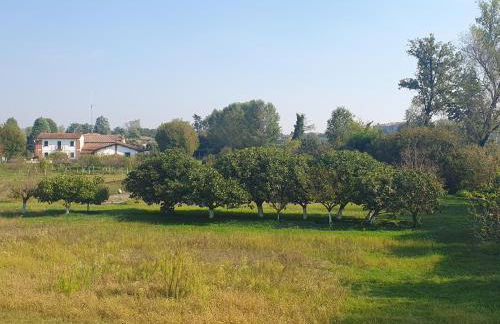 ReBeeApartments - apt 1 - Foto 27