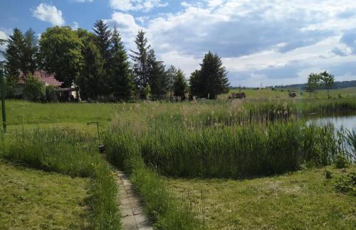 #MazuryWildLife - Foto 7