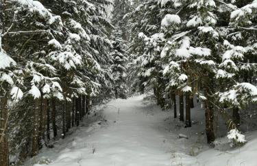 Juraszówka - Foto 46